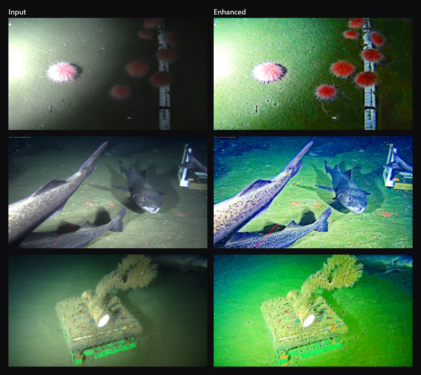 Three underwater scenes before and after enhancement: sea urchins on the seafloor, a group of sharks, and a coral-covered frame that turns greener